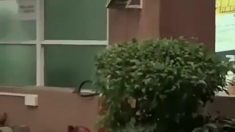 河北今日吃瓜新闻,揭秘网络热议背后的真相